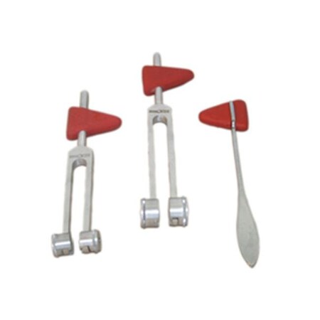 Fabrication Enterprises Fabrication Enterprises 12-1502 Taylor Hammer with 256 cps Tuning Fork 12-1502